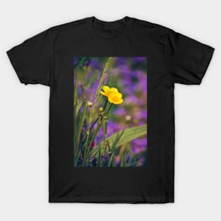 Buttercup Blues T-Shirt